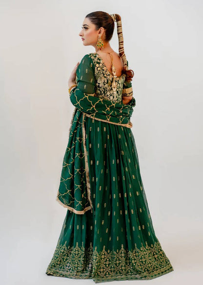 Lush Luminary | Festive Collection