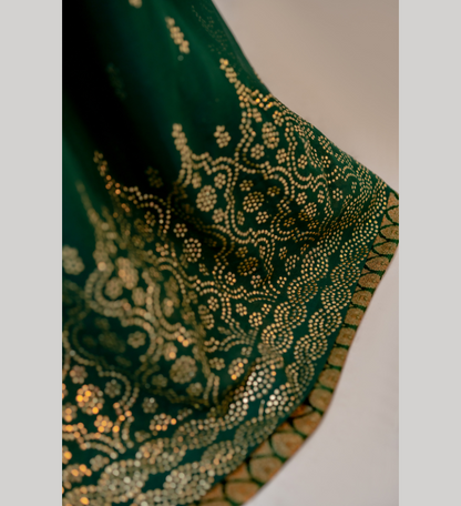 Lush Luminary | Festive Collection